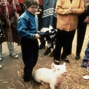 Braciszek świnka - galeria zdjęć - filmweb