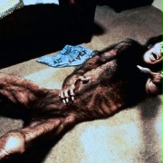 An American Werewolf in London - galeria zdjęć - filmweb