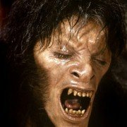An American Werewolf in London - galeria zdjęć - filmweb