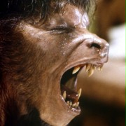 An American Werewolf in London - galeria zdjęć - filmweb