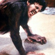 An American Werewolf in London - galeria zdjęć - filmweb