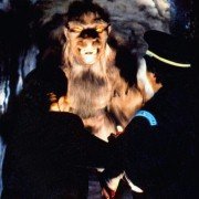 Amerykański wilkołak w Paryżu - galeria zdjęć - filmweb