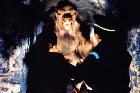 Amerykański wilkołak w Paryżu - galeria zdjęć - filmweb