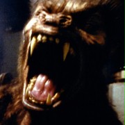An American Werewolf in Paris - galeria zdjęć - filmweb