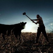 Amerykańscy Bogowie - galeria zdjęć - filmweb
