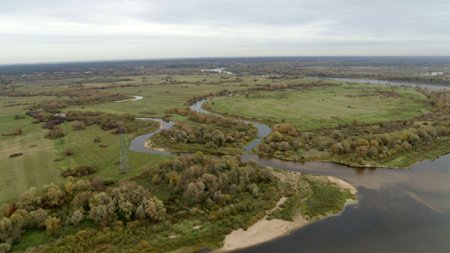 Sezon 1 Odcinek 8 Ujście narwi