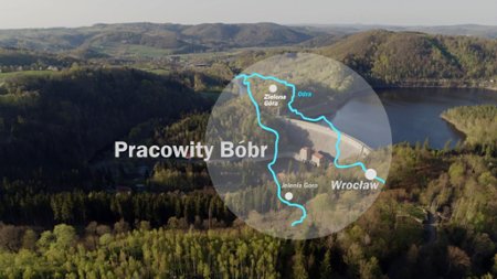 Sezon 3 Odcinek 5 Pracowity B&oacute;br