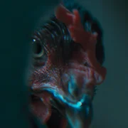 Kura - galeria zdjęć - filmweb