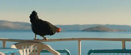 Kura - galeria zdjęć - filmweb