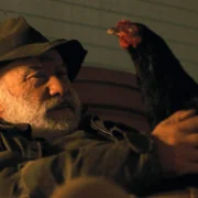 Kota - galeria zdjęć - filmweb