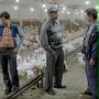Opowieści Złotego Wieku - galeria zdjęć
