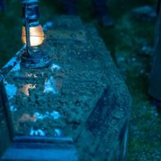 Dead Still - galeria zdjęć - filmweb