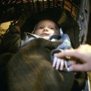 Perfect Creature - galeria zdjęć - filmweb