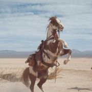 Hidalgo - galeria zdjęć - filmweb