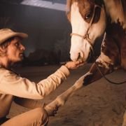 Hidalgo - galeria zdjęć - filmweb