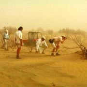 Hidalgo - galeria zdjęć - filmweb