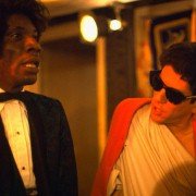 Animal House - galeria zdjęć - filmweb