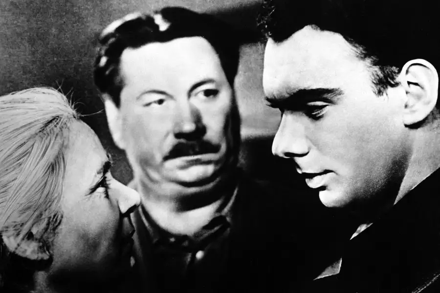 Lecą żurawie - galeria zdjęć - filmweb