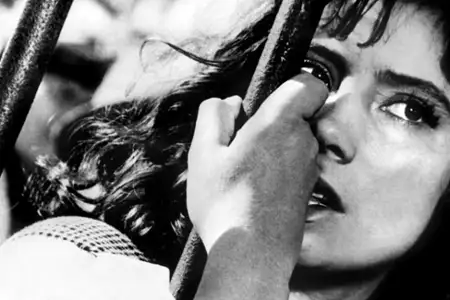 Lecą żurawie - galeria zdjęć - filmweb