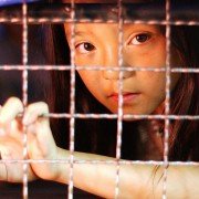 Human Trafficking - galeria zdjęć - filmweb