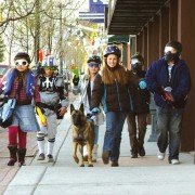 K-9: Pies, który uratował święta - galeria zdjęć - filmweb
