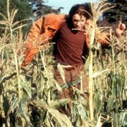 Another Day in Paradise - galeria zdjęć - filmweb