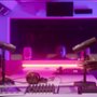 Rhythm + Flow: Francja - galeria zdjęć