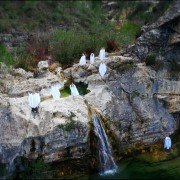 Mary's Land - galeria zdjęć - filmweb
