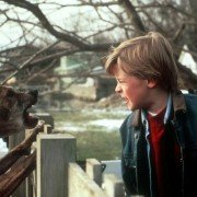 The Good Son - galeria zdjęć - filmweb