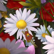 Bamse och världens minsta äventyr - galeria zdjęć - filmweb