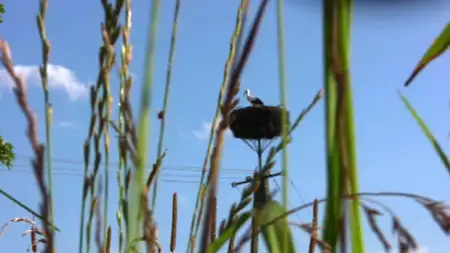 Dom: Warszawa-Meksyk - galeria zdjęć - filmweb