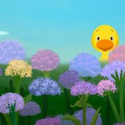 Duck & Goose - galeria zdjęć - filmweb