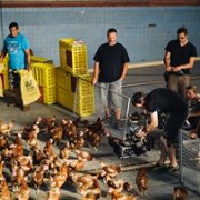Rossz versek - galeria zdjęć - filmweb