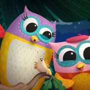 Sówka Ewa - galeria zdjęć - filmweb