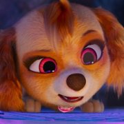 PAW Patrol: The Mighty Movie - galeria zdjęć - filmweb