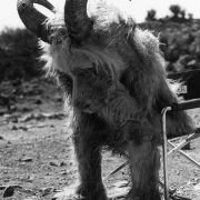 Where the Wild Things Are - galeria zdjęć - filmweb