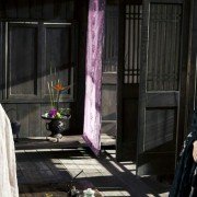 Hua Yang - galeria zdjęć - filmweb