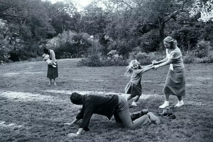 Maestro - galeria zdjęć - filmweb