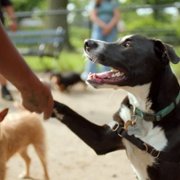 Wizje przyszłości - galeria zdjęć - filmweb