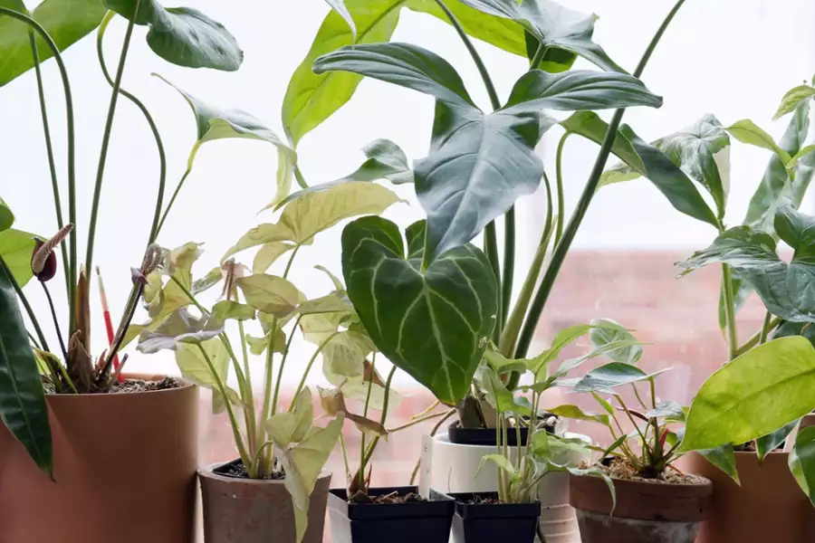 Wizje przyszłości - galeria zdjęć - filmweb