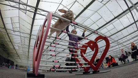 Sezon 1 Odcinek 4 Zdolności sportowe
