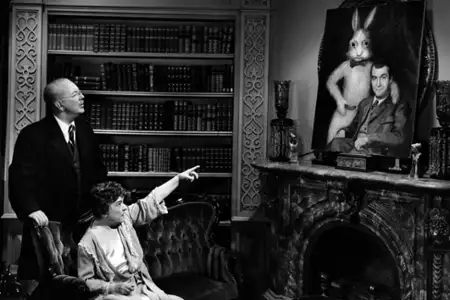 Harvey - galeria zdjęć - filmweb