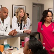 Hoży doktorzy - galeria zdjęć - filmweb