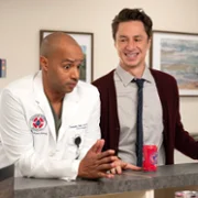 Hoży doktorzy - galeria zdjęć - filmweb