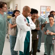 Hoży doktorzy - galeria zdjęć - filmweb