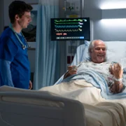 Hoży doktorzy - galeria zdjęć - filmweb