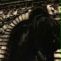 Avalon - galeria zdjęć