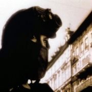 Avalon - galeria zdjęć - filmweb