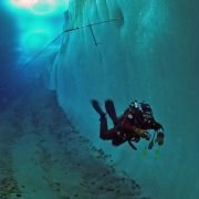 Encounters at the End of the World - galeria zdjęć - filmweb