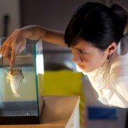 Hetun - galeria zdjęć - filmweb